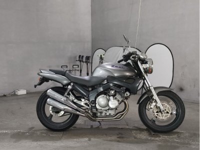 Yamaha ZEAL FZX250 1992