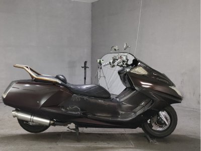 Yamaha MAGZAM 2007