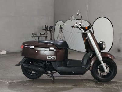 Yamaha VOX 2010