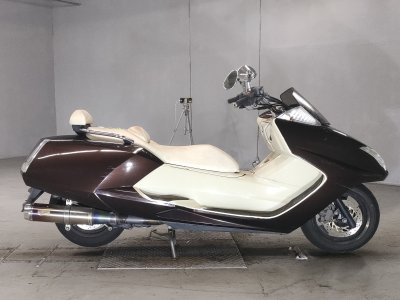 Yamaha MAGZAM 2007