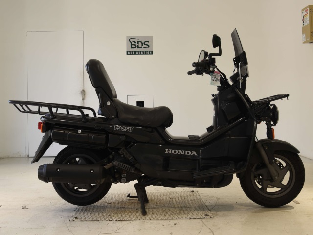 Honda PS250 BIG RUCKUS 2006