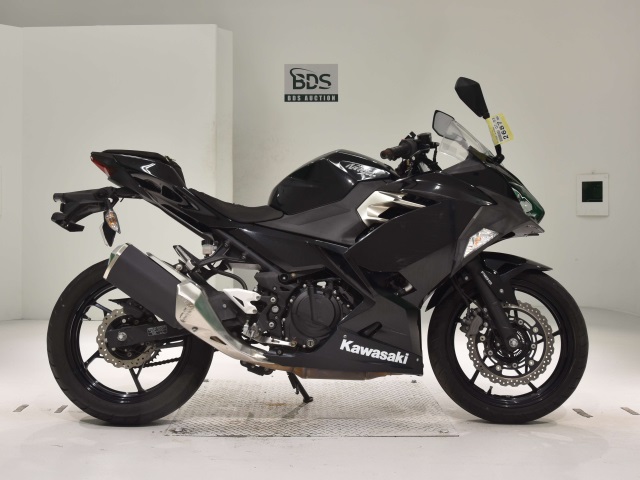 Kawasaki NINJA250 2019