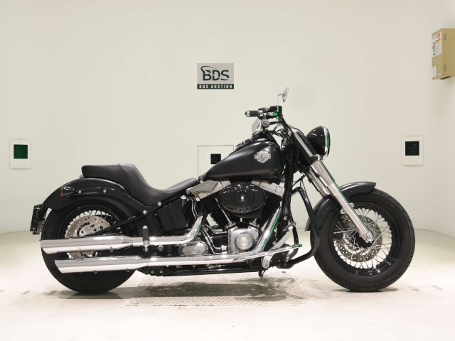 HD SLIM FLS1580 2013