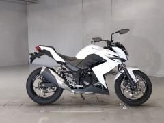 Kawasaki Z250 2013