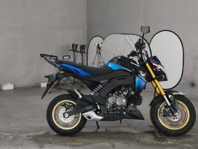 Kawasaki Z125 PRO 2017