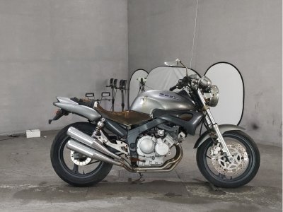 Yamaha ZEAL FZX250 1992