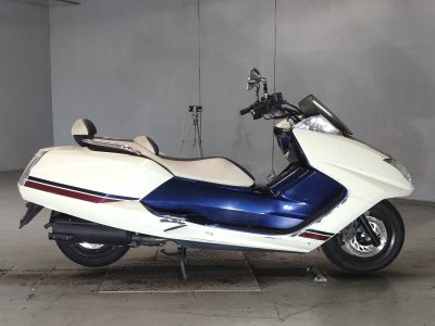 Yamaha MAGZAM 2010