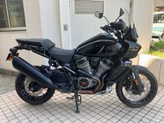 HD PAN AMERICA1250 S 2021