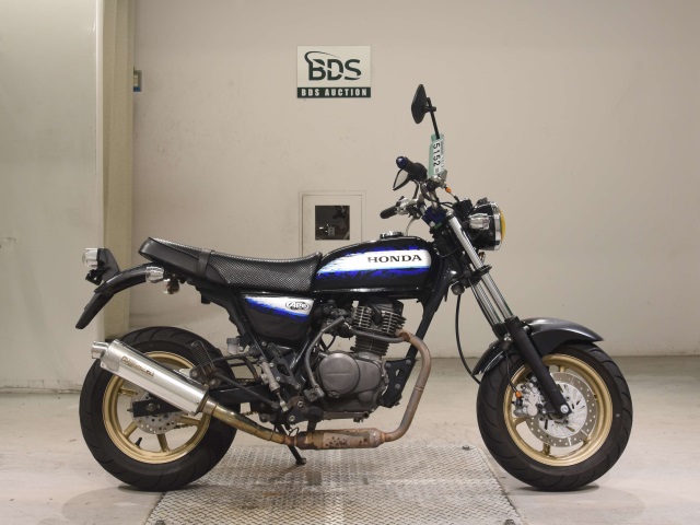 Honda APE100 2010