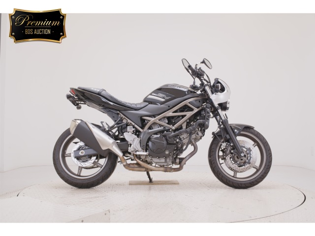 Suzuki SV650A 2024