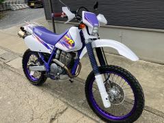 Yamaha TT250R 1993