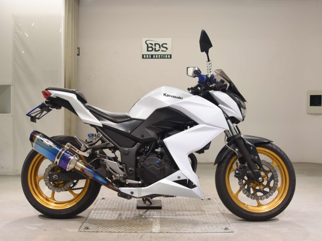 Kawasaki Z250 2014