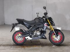 Kawasaki Z125 PRO 2021