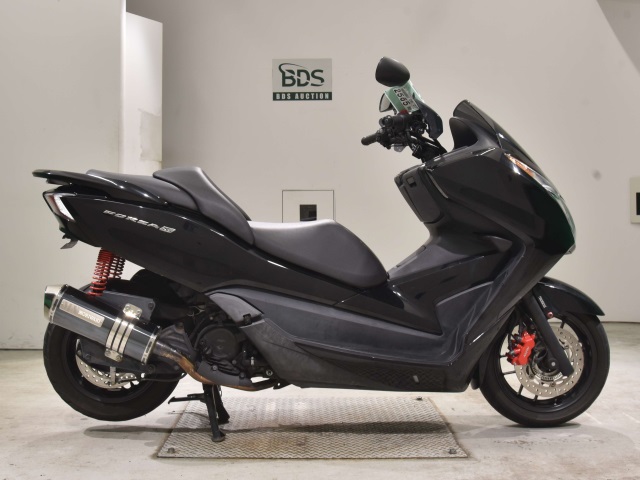 Honda FORZA SIA 2013