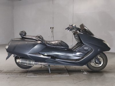 Yamaha MAGZAM 2007