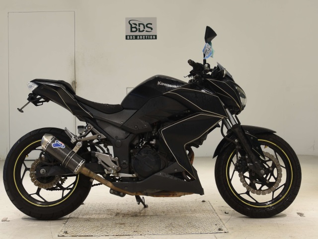 Kawasaki Z250 2013