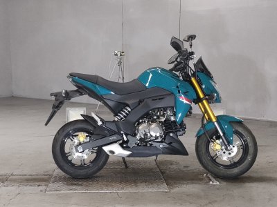 Kawasaki Z125 PRO 2021