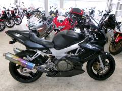HD RH975 NIGHT STAR 2022