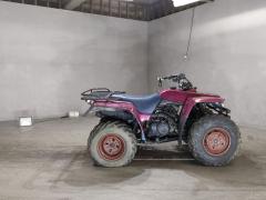 Yamaha YFM350R