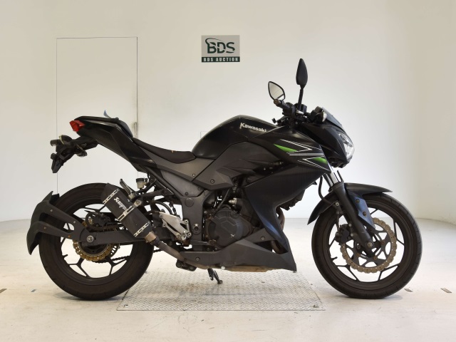 Kawasaki Z250 2013