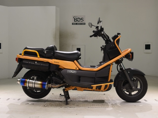 Honda PS250 BIG RUCKUS 2004