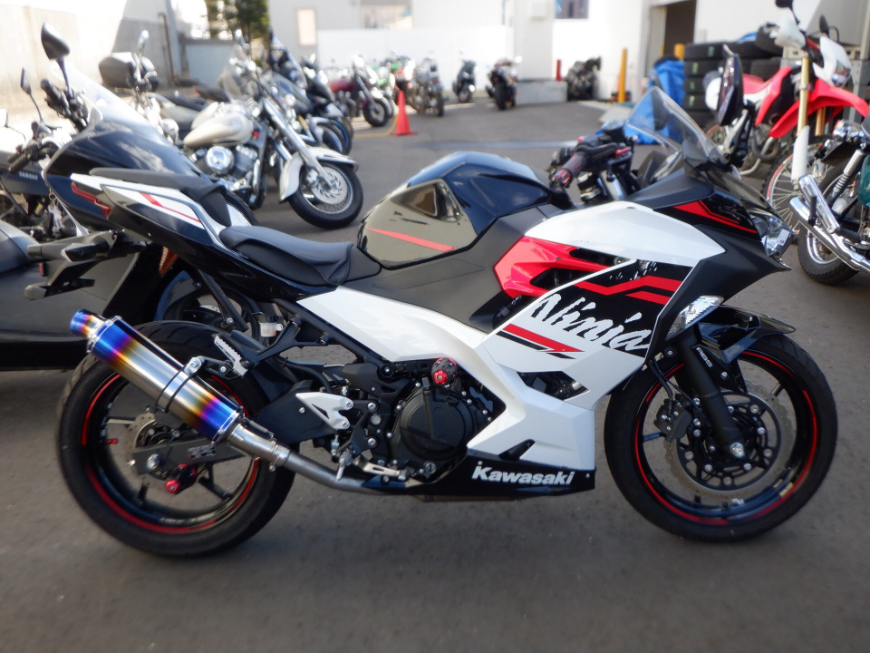 Kawasaki NINJA250 2020