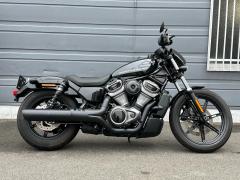 HD RH975 NIGHT STAR 2022