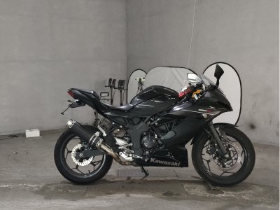 Kawasaki NINJA250 2016