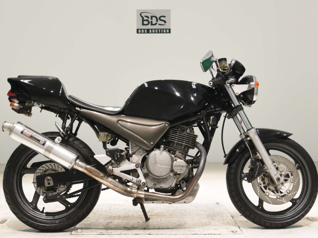 Suzuki GOOSE250 1992