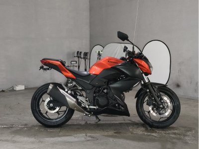 Kawasaki Z250 2014