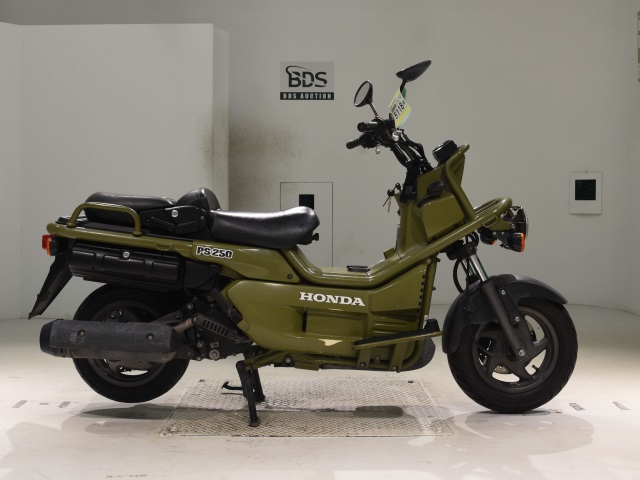 Honda PS250 BIG RUCKUS 2006