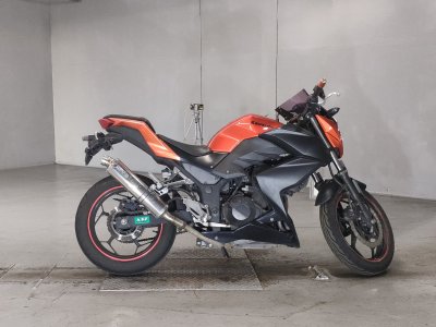 Kawasaki Z250 2014