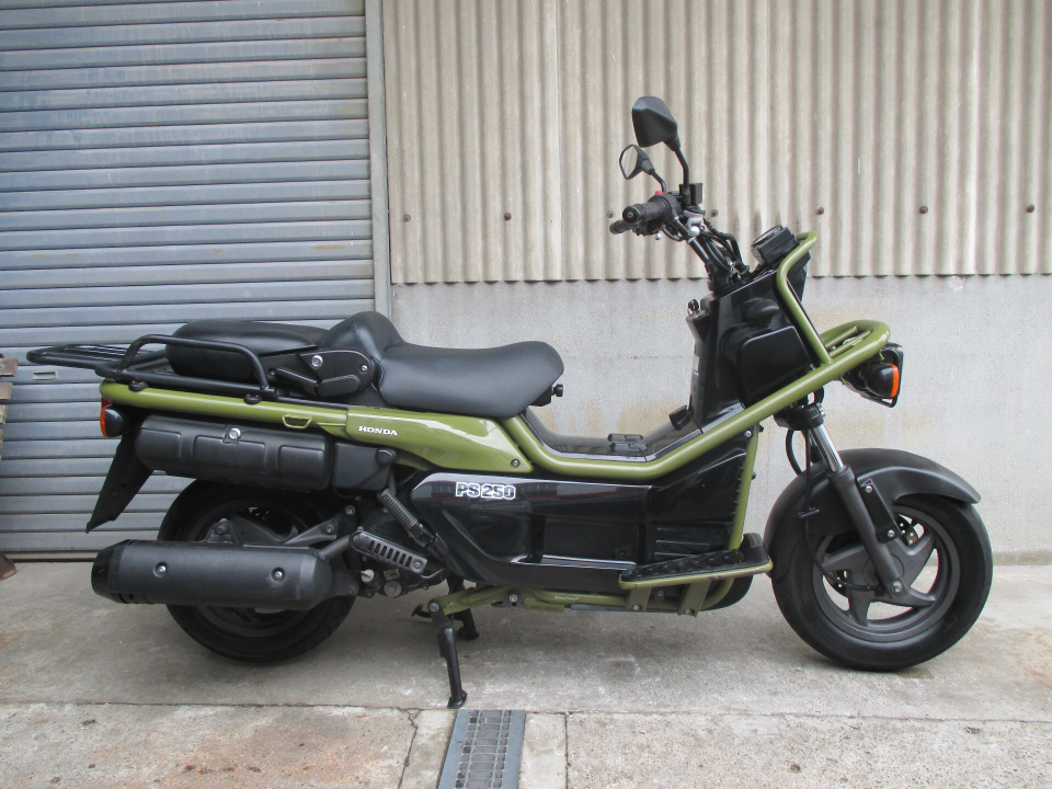 Honda PS250 BIG RUCKUS 2005