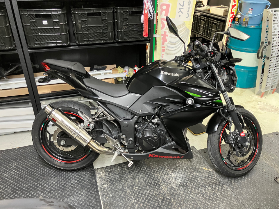 Kawasaki Z250 2013