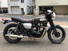 Kawasaki W800 2019