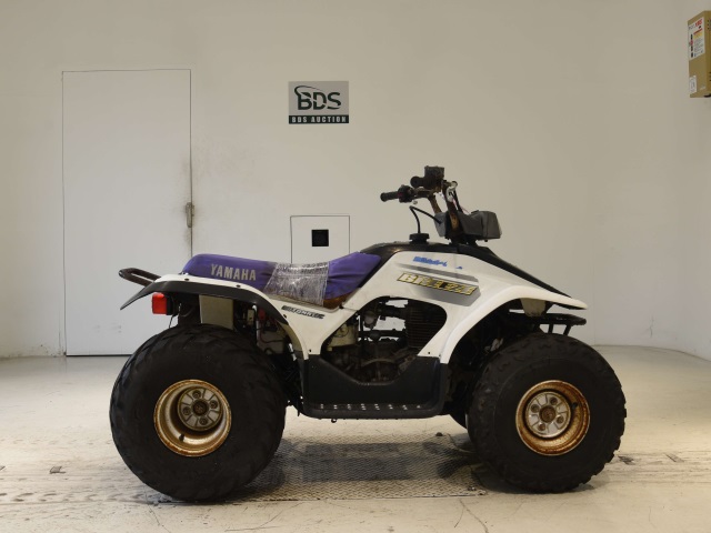 Honda QR50