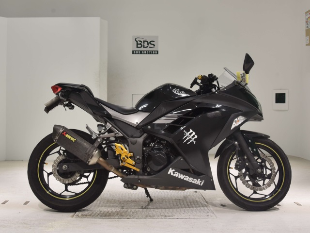 Kawasaki NINJA250 2017