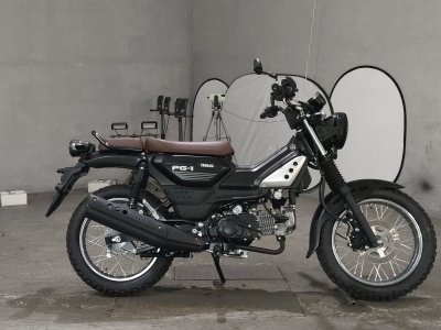 Yamaha pg-1 2024