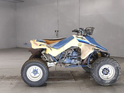 Suzuki LT250R 2020
