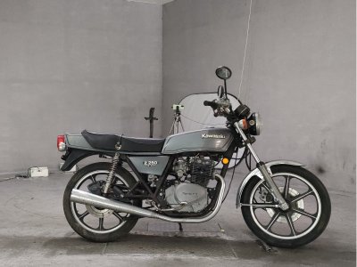 Kawasaki Z250FT
