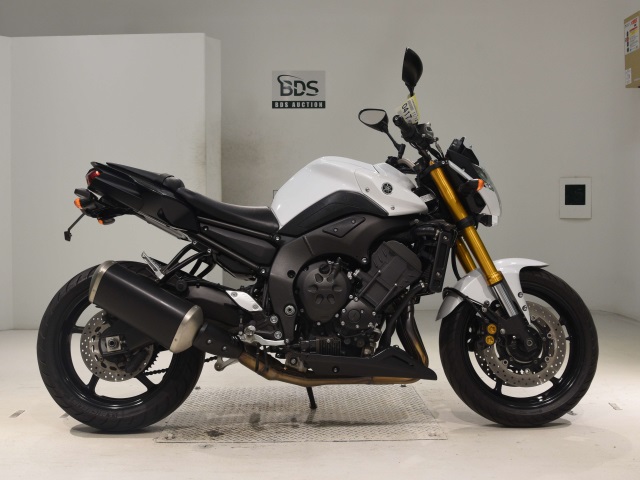 Yamaha FZ8-N 2016