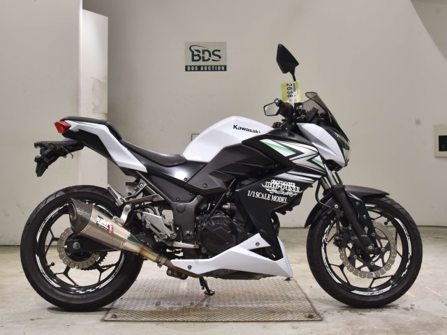 Kawasaki Z250 2014