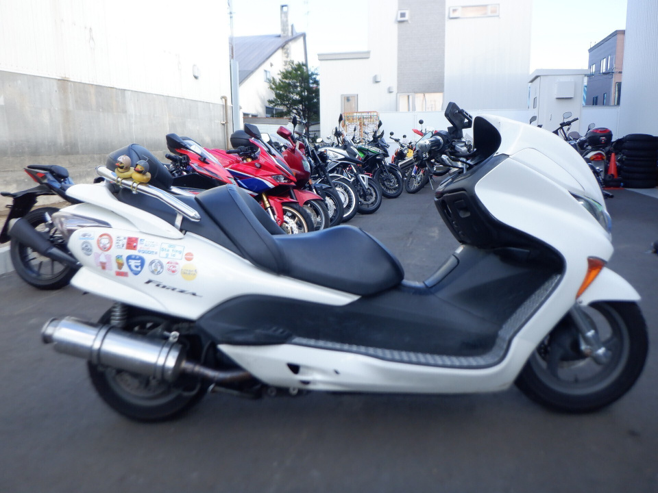 Honda FORZA Z 2006
