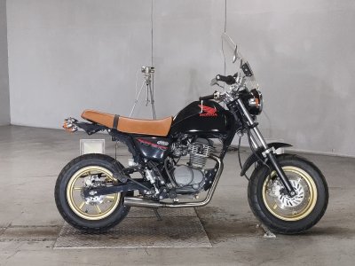 Honda APE100 2010