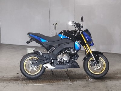 Kawasaki Z125 PRO 2017