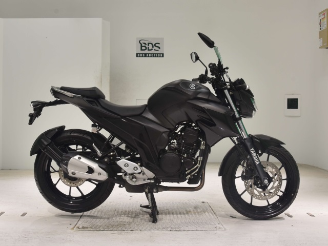 Yamaha FZ25 2019