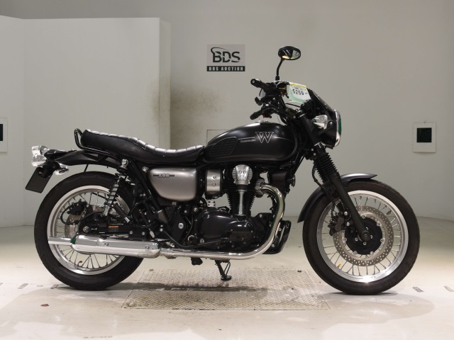 Kawasaki W800 2019