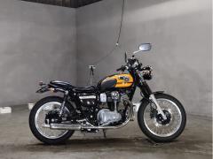 Kawasaki W800 2019