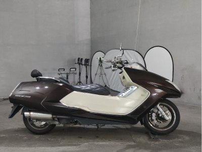 Yamaha MAGZAM 2007