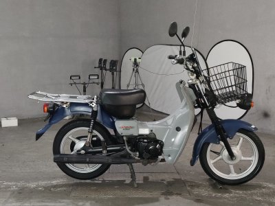Suzuki BIRDIE90